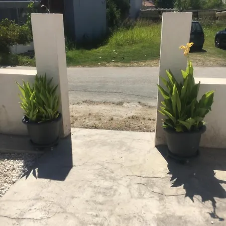 Joy Zakynthos לגאנאס