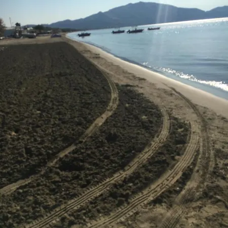 Lägenhet Joy Zakynthos Laganas